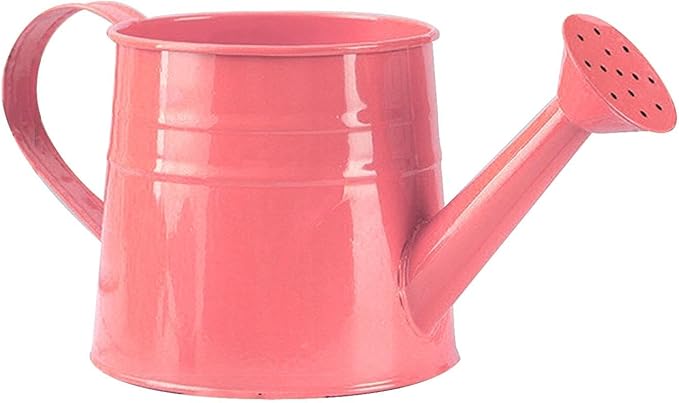 Watering Can Gardening Tool Accessories, Sprinkling Can 1L Metal Flower Garden Watering Can for Outdoor Indoor Plants Lawn Garden (Light Pink)