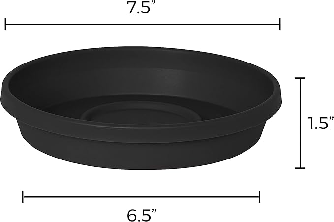 Bloem Terra Resin Saucer Tray: 6.5" Bottom Width - Black - Matte, Durable, Ribbed Bottom, Indoor and Outdoor, Fits 8" Terra Pots