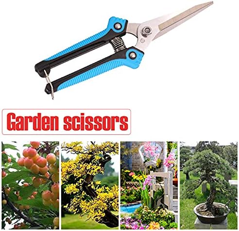 Garden Scissors, Pruning Shears with Straight Blades, Florist Scissors, Multi-Tasking Garden Snips for Arranging Flowers, Trimming Plants and Harvesting Herbs, Fruits or Vegetables (Blue)