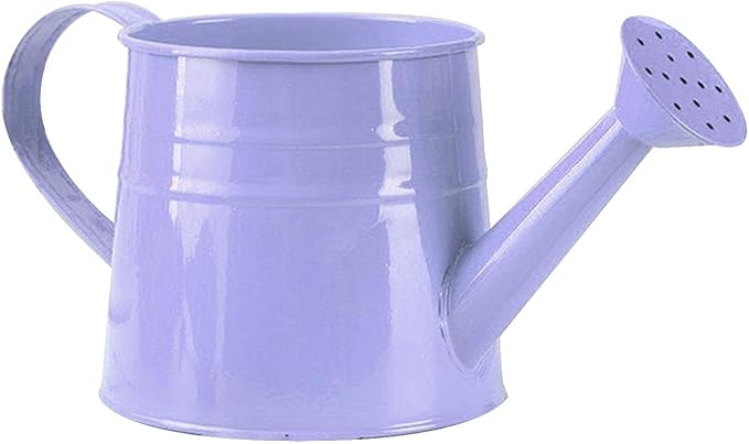 Watering Can Gardening Tool Accessories, Sprinkling Can 1L Metal Flower Garden Watering Can for Outdoor Indoor Plants Lawn Garden (Purple)