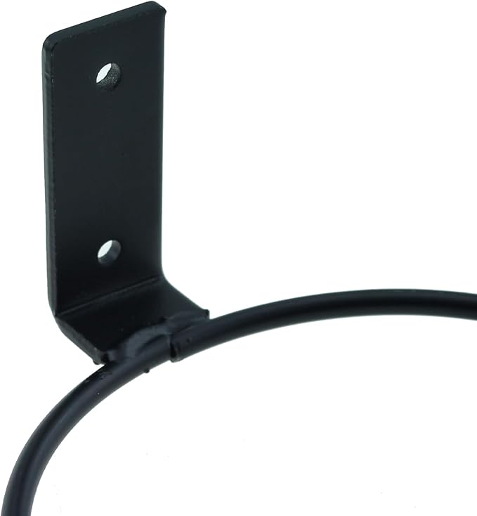2PCS 5 Inch Plant Stand Ring Black Metal Wall Mounted Planter Hook Suitable for Garden or Indoor Wall Planter Holder