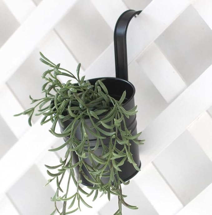 Leoyoubei Hanging Flower Pots for Outdoor Indoor Plants with Removable Hooks -5 Pack Metal Buckets Hanging Plant Pots Wall Fence Home Decor-Storage Box,Drainage Holes -5''Diameter (Black)