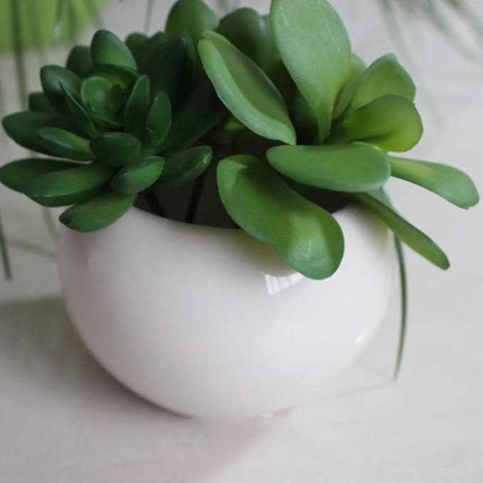 Angoily White Ceramic Plant Pots: Mini Pots Outdoor Garden Planters- Decorative Indoor Plant Pots- Garden Supplies Flowerpot Vase- Plants Succulent with Drainage Hole& Saucer