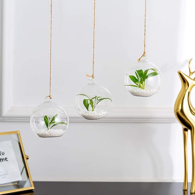 Pcs of 8 Hanging Glass Terrarium Air Plant Candle Holders Home Wedding Party Centerpieces Decor Indoor Outdoor Air Plant Terrariums