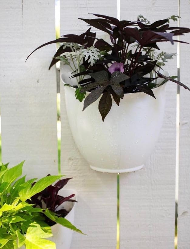 The HC Companies 8 Inch Garden Wall Planter - Plastic Hanging Plant Pot for Indoor Outdoor Flowers, Herbs, Dusty Teal (Pack of 2)