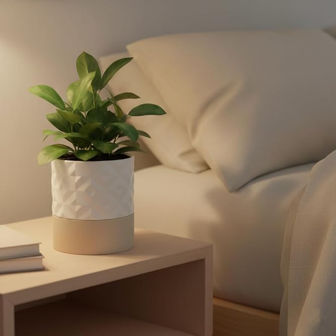 Nihow Self Watering Plant Pot for Indoor Plants: 6 Inch Ceramic Planter with Drainage Hole & Water Storage Plus - Cylinder Flower Pot with Wick for Herbs - Matte White & Brown Star