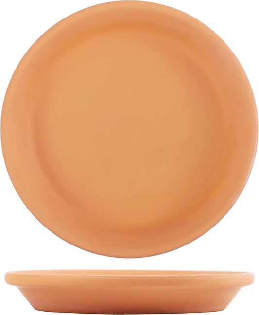 Yishang 11 Inch Terracotta Pot Saucer - 2pcs Large Round Clay Plant Tray with Drainage Hole, Perfect for 10/11/12 Inch Flower Pot, Indoor/Outdoor