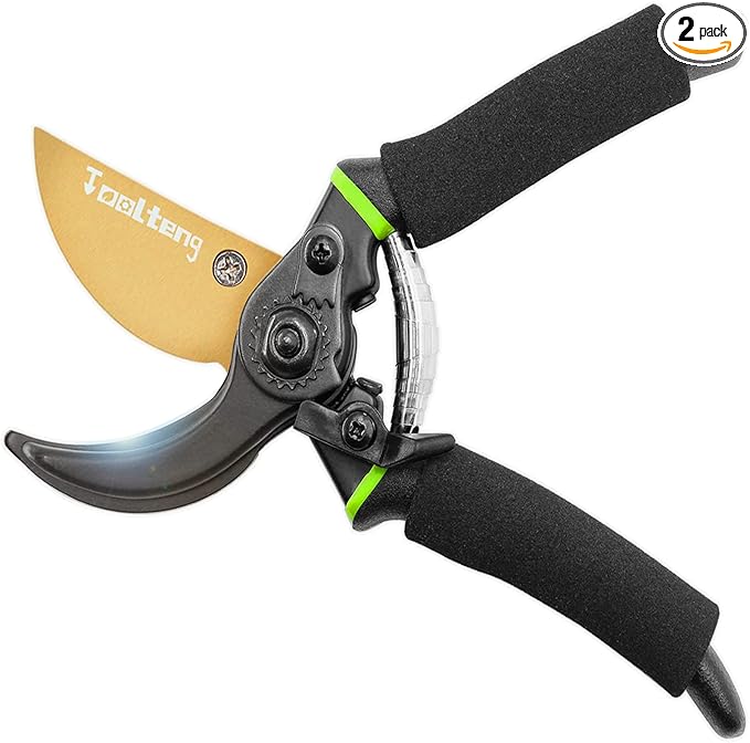Premium Titanium Bypass Pruning Shears, Heavy Duty Ultra Sharp Garden Scissors, Professional Hand Pruners, Tree Trimmers, Hedge Clippers, Garden Shears and Rose Clippers Tools for Gardening