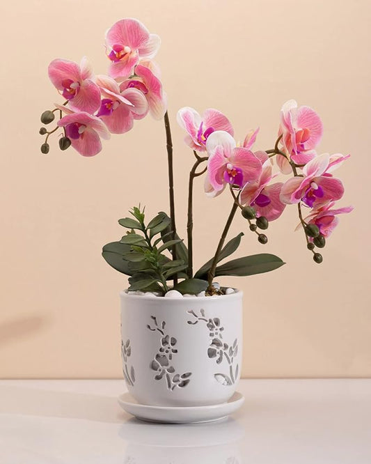 Orchid Pot, 6.5 inch Large Orchid Pots with Holes for Healthy Growth and Easy Repotting, Premium Ceramic Orchid Planter for Indoor and Outdoor Use, (Note : Plant Not Included)