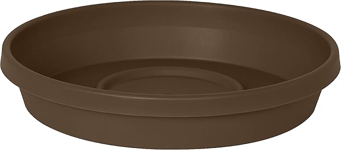Bloem Terra Resin Saucer Tray: 4.75" Bottom Width - Chocolate Brown - Matte, Durable, Ribbed Bottom, Indoor and Outdoor, Fits 6" Terra Pots