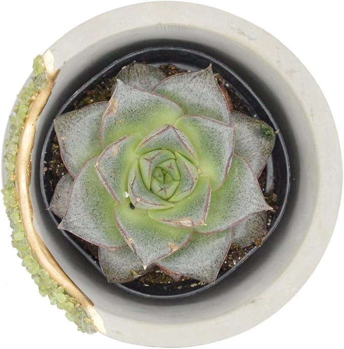 4 Inch Crystal Plant Pot with Saucer - Cement Geode Planter - Concrete Pots for Plants - Modern Succulent Pot Indoor - Unique Air Plant Holder - Candle Holder - Small Plant Home Decor (Green Peridot)