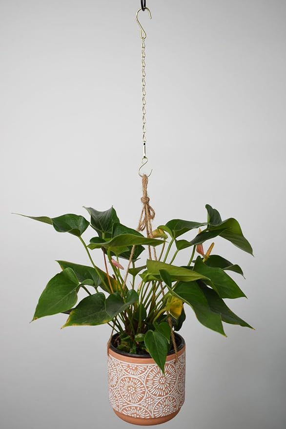 Chain for Hanging Plants,11 Inch Gold Hanging Chain, Small Hanging Basket Chain Kits with Hooks for Bird Feeder Hanging Basket Extender Porch Wind Chime (Gold, 11 Inch-12PCS)