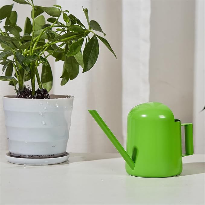 Watering Can for Indoor Plants, Small Watering Cans Sprinkling Pot for Greenhouse Garden Flower Plants, Stainless Steel Long Spout Water Can for Outdoor Watering Plants, 300ML/0.08 Gallon (Green)