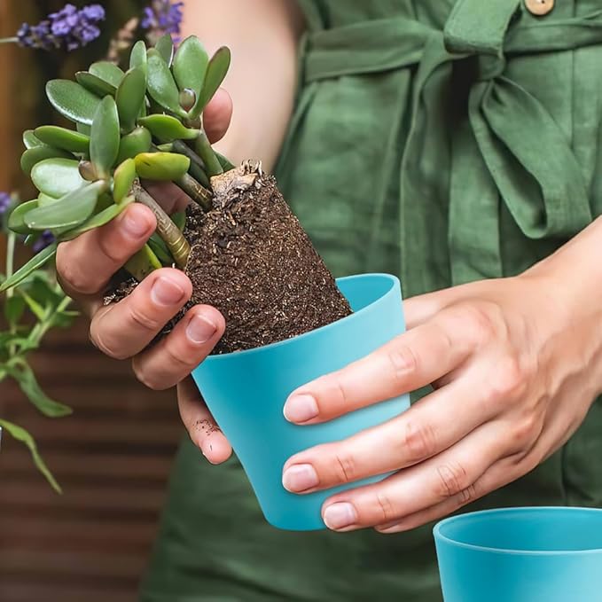 4 inch Plant Pots 10 pcs Flower Pots for Indoor Plants Pots small Succulent Pots with Drainage Plastic Mini Flower Pots Herb Garden Planter Indoor Herb Plants Nursery Pots for Plants white & blue