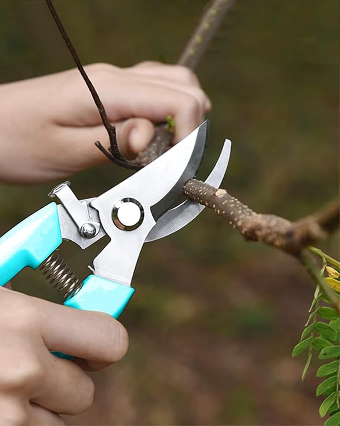 Garden Scissor for Plant, 4 Pcs Floral Scissors, Tip Pruning Shears Bulk for Cutting Flowers, Bonsai, Fruits and Trimming Plants(Blue)
