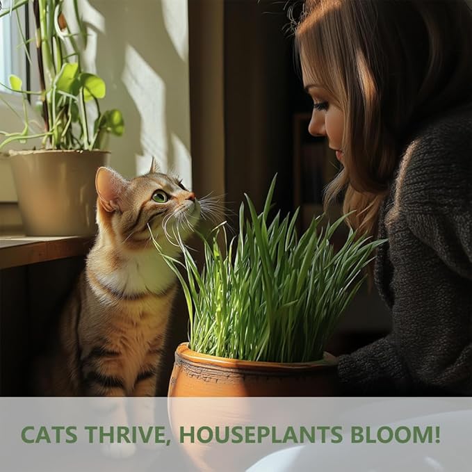 Cat Grass Kit for Indoor Cats, 3 Pack Fast Growing Cat Grass Kit with Eco-Friendly Biodegradable Pots, Soil & Wheatgrass Seeds, Grows in 3-7 Days with High Germination Rate