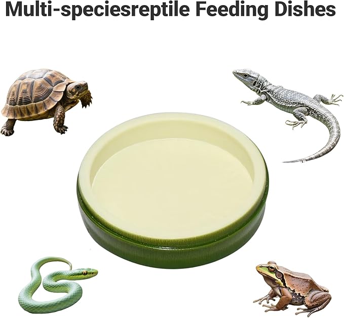 2 Pack Snail Water and Food Bowl，atural Design Food Bowl for Pet Snails, Garden Snails Pet Land Snail Terrarium Supplies