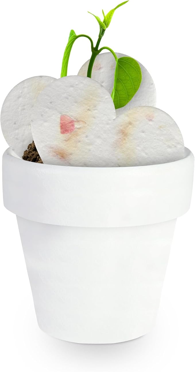12pcs Mini White Pots – Small White Pots for Indoor or Outdoor Plants, Mini Planters for Flowers and Greenery, for Plant Lovers