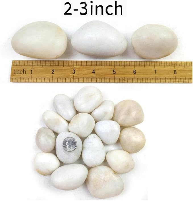 5LB White River Rocks - 2-3 inch High Polished Decorative Pebbles, Stones for Landscaping, Natural River Rocks for Outdoor Décor, Plants,Vase Filler,Fish Tank
