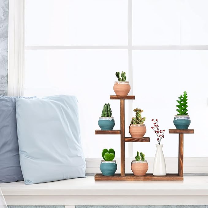 Wooden Tabletop Plant Stand - 5 Tier Succulent Plant Holder Decorative Planter Holder, Small Desktop Flower Pot Rack Shelf for Decoration Living Room Home Office Windowsill
