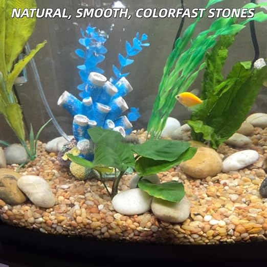 18lb Mix River Rocks for Plants, 1-3 Inch Pebbles for Indoor Plants, Polished Garden Rocks Outdoor Landscaping, Decorative Stones for Vases, Succulents, Aquarium, Walkways
