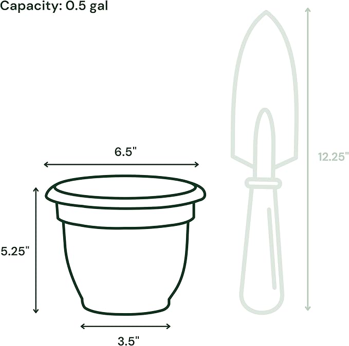 Bloem Ariana 6" Basil Round Self-Watering Resin Planter Pot - Rolled Rim Indoor and Outdoor Gardening Planter