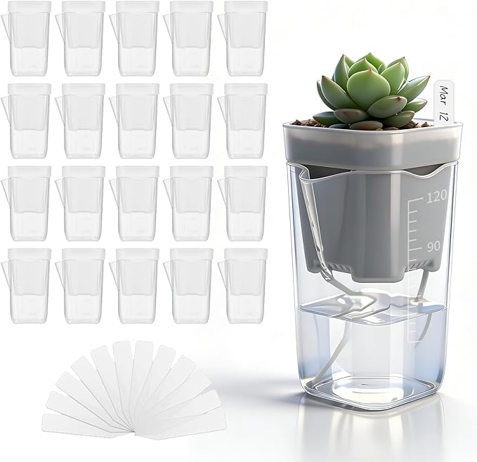 20 Pack 2” Mini Self Watering Pots for Indoor Plants, Small Clear Plastic Planters with Water Level Indicator & Drainage Holes, Perfect for Alocasia Corm Propagation, Seedling, Cuttings