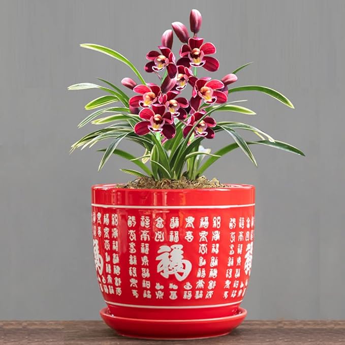 Ceramic Red Planters Pot with Drainage Hole and Saucer, Home/Garden Outdoor Decorative, Tray for Wedding - Outside Chinese Characters Meaning Fortune,Plants Not Included