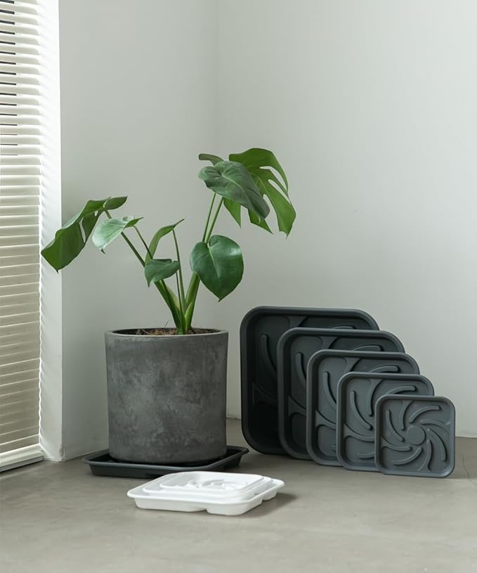5 Pack Plastic Flower Plant Pot Saucer, Heavy Duty Plant Drip Trays Saucers for Indoors Outdoors,Quadrate Thick Sturdy Planter Bottom Plate(Black,6.5")
