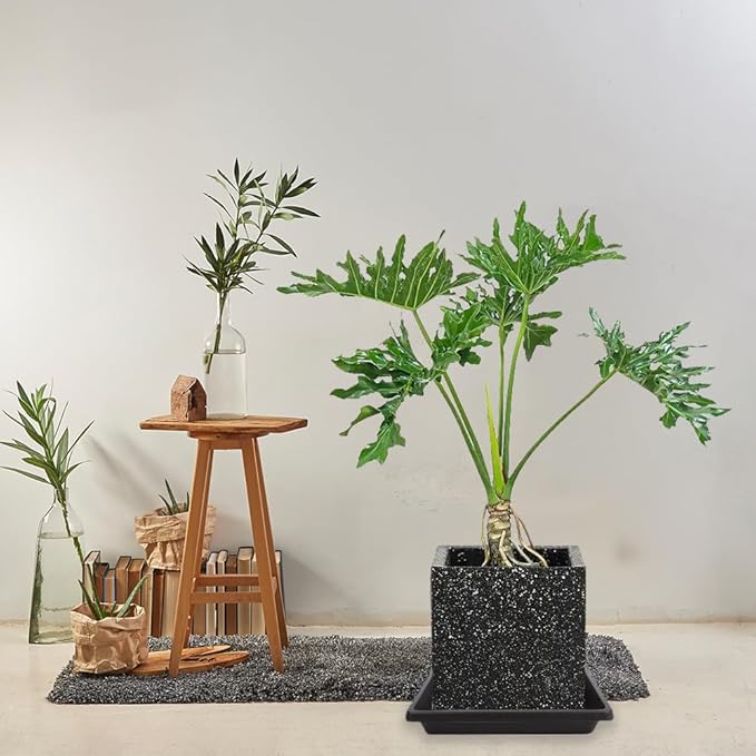 Square Plant Saucer 10 Inch 2 Pack, Plant Drip Trays and Flower Pot Saucers，Doubles Plant Water Catcher Tray, Plant Trays for Indoors No Holes, Plant Drainage Tray Saucers for Potted Plants