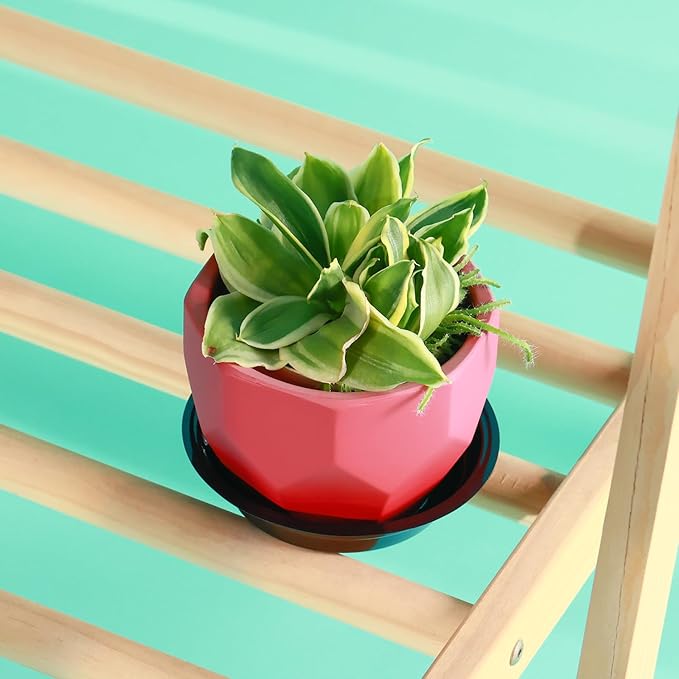 40 Pack 4 Inch Black Plastic Plant Saucer, Indoor/Outdoor, Round, Glossy Finish, BPA-Free, Recyclable, Multi-Use, No Holes, Water Catcher Tray for Potted Plants