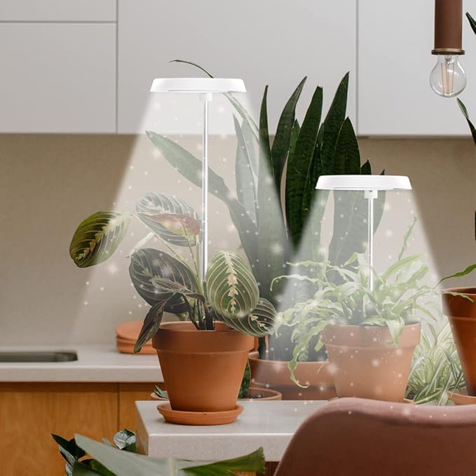 3 Pack Halo Grow Light for Indoor Plants, 6000K 48 LEDs Full Spectrum Plant Lamp with Dimmable & Timer 4/8/12/18Hrs for Succulents, Mini Bonsai, Small Plants, Height Adjustable