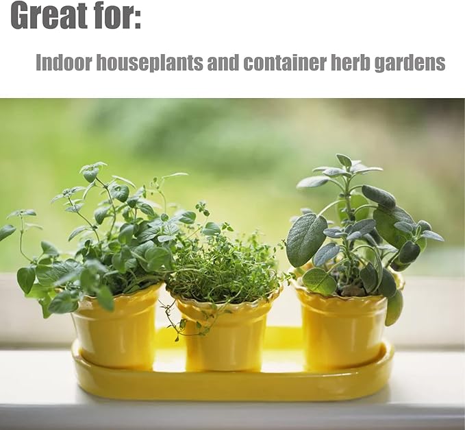 Organic Potting Soil Mix 4qt for All Indoor & Outdoor Small Containers Including Herbs, Vegetables, and Flowers