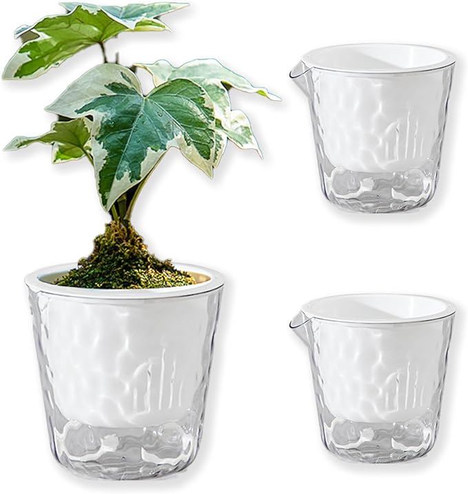 3-Pack Self Watering Plant Pots, 5 Inch Clear Flower Pots with Drainage Holes, Tray and Rope, Plastic Self Watering Planters for Indoor Outdoor Garden Plants, African Violet, Herbs