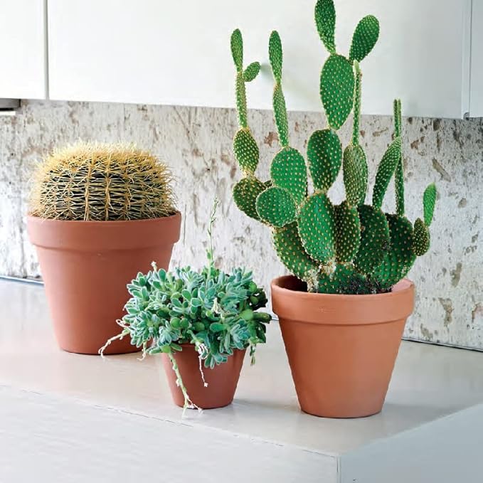 OLEEP Clay Pots - 10 Pack (5.5 inch) Large Terra Cotta Plant Pot with Drainage Hole,Garden Pots, Clay Planters Pot, Terracotta Pot for Indoor Outdoor Plant