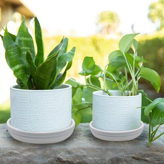 SAROSORA Round Plastic Plant Saucer Drip Tray Set of 6 for Indoor Outdoor Home Garden Flower Plant Container Flower Pot Pallets ((5.8''+7"+8'') x2, White-Grey)