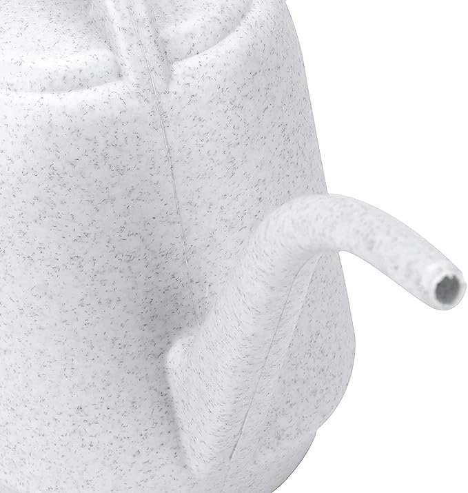 Fasmov Plastic Watering Can, 1-Gallon