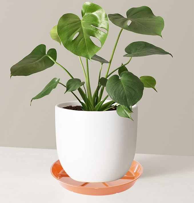 Plant Saucer Pot Tray 14 inch, 4 Packs Flower Planter Saucers and Drip Trays, Heavy Duty Round Plastic Flower Plant Dish Pant Plate to Catch Water for Indoor & Outdoor, Terracotta