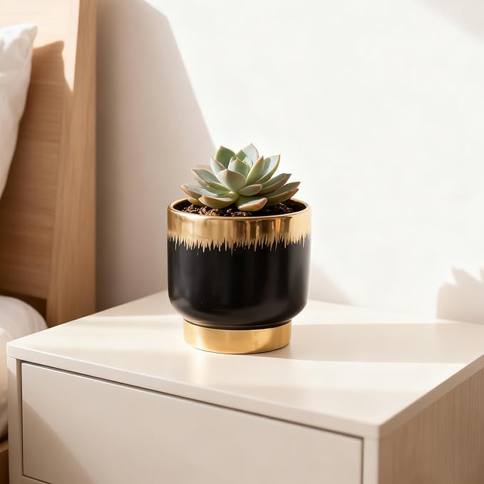 Black Gold Ceramic Succulent Plant Pots Floral Small Plant Pots Indoor Modern Round Decorative Indoor-Outdoor Garden Pots with Drainage Holes - Plants Not Included 4.33 x4.33 Inch