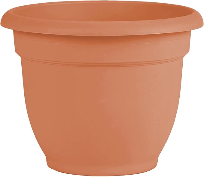 Bloem Ariana 10" Muted Terra Cotta Round Self-Watering Resin Planter Pot - Rolled Rim Indoor and Outdoor Gardening Planter