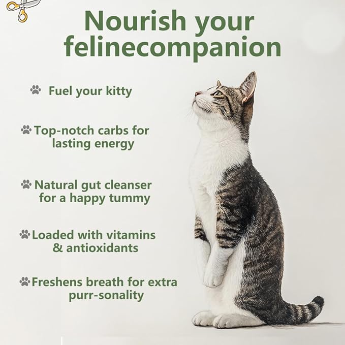 Cat Grass Kit for Indoor Cats, 3 Pack Fast Growing Cat Grass Kit with Eco-Friendly Biodegradable Pots, Soil & Wheatgrass Seeds, Grows in 3-7 Days with High Germination Rate