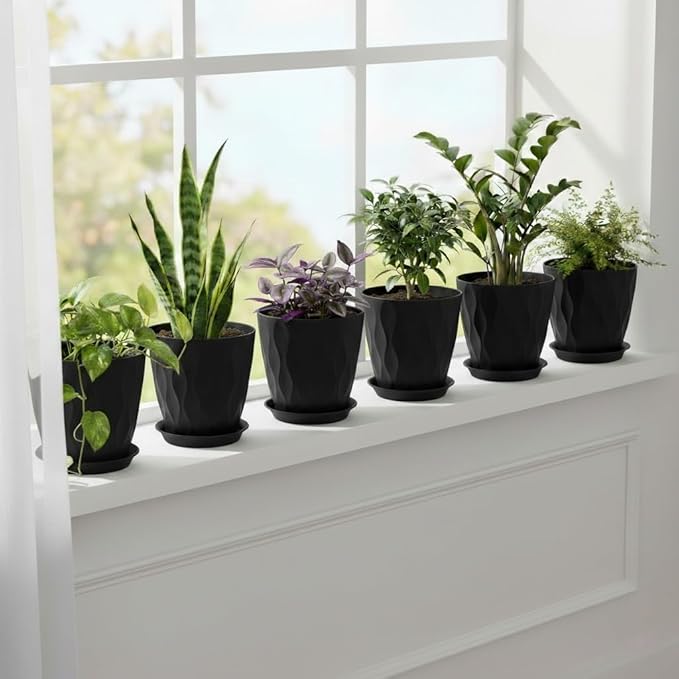 Plant Pots 8 Inch, 6 Pack Plastic Flower Pots for Indoor & Outdoor Plants, Planters with Drainage Holes and Saucer, Garden Pot for Plants(Black)
