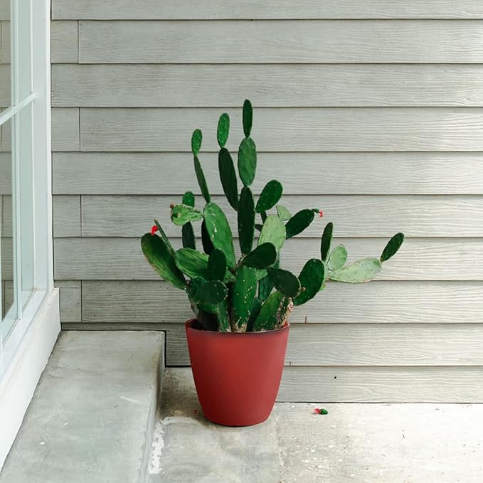 2 Pack Plant Pots Durable Decorative Flower Pots,8 Inch Planter with Drainage Hole + 6 Inch Planter Set for Indoor and Outdoor Plants,Flowers,Succulents - Red