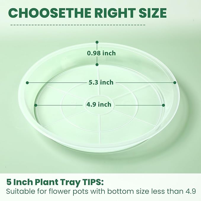 3 5 7 9 11 15 Inch Clear Plastic Plant Saucers for Indoors, 5 Pack Durable Plant Trays for Pots and Plant Water Catcher Tray with No Holes, Reusable Plastic Trays for Plants (5''-5Pack)