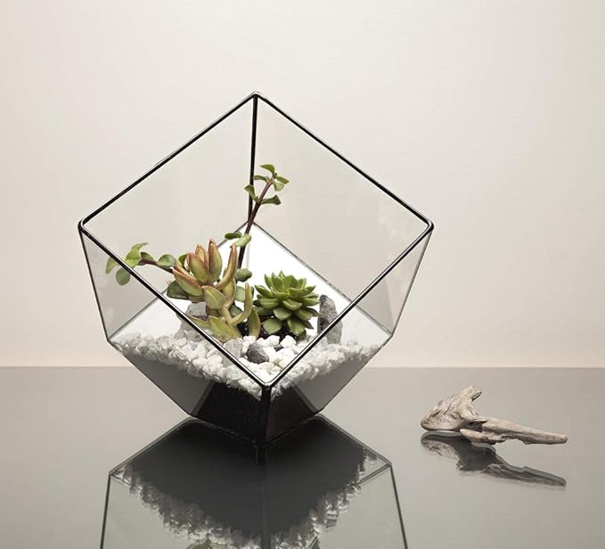 WGV Geometric Planter Terrarium, Width 11.5" Height 12" Clear Glass Black Frame DIY Succulent air Plant Miniature Fairy Garden Windowsill Tabletop Decor, Tilted Cube 1 Piece