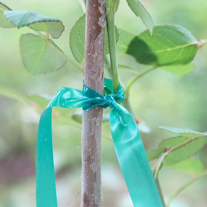 Easytle Stretch Tie Tape Roll, 1/2" 150ft Garden Tie Tape, Thick Sturdy Plant Ribbon Garden Green Vinyl Stake Gardening Tools for Indoor Outdoor Patio Plant Use (2 Pack)