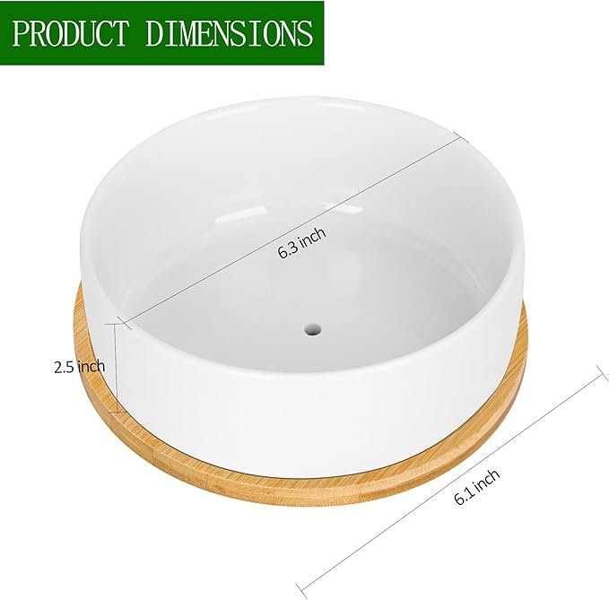 White Ceramic Succulent Plant Pots, Set of 2 Round Planter Small Cactus Container, Bonsai Pots, Succulent Pots with Drainage Hole& Bamboo Tray (No Plant)