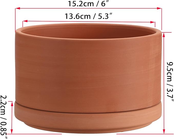 JUXYES 6 Inch Terracotta Shallow Pot with Holes and Saucers, Round Cylinder Succulent Planter Clay Flower Pots for Indoor and Outdoor Use, Decorative Bonsai Succulent for Mini Foliage Plants Orchids