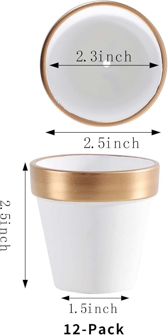 Yishang 2.5 inch White&Gold Terracotta Pots with Drainage Holes,Small Mini Clay Ceramic Pottery Planter,Cactus Flower Terra Cotta Pots,Succulents Nursery Pots for Indoor/Outdoor Plants,Crafts-12 Pack