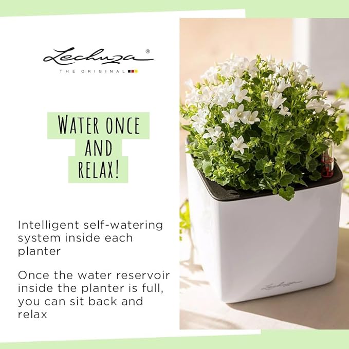 Lechuza Cube Glossy 16 Cream White High Gloss, Self-Watering Indoor Small Plant Pot, H6.3 L6.7 W6.7 in